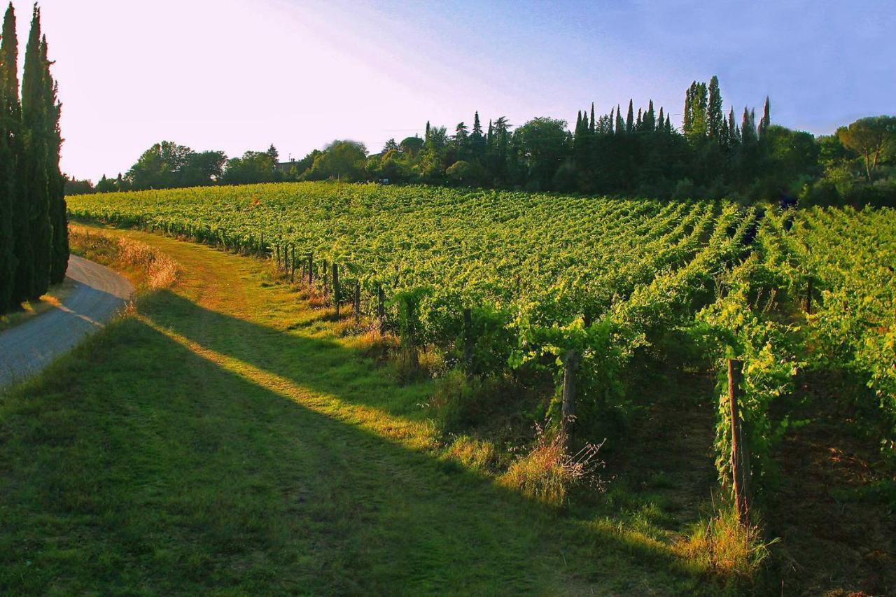 La Striscia Wine Resort Arezzo Dış mekan fotoğraf